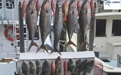 Experience the Adventure of a Lifetime with Reel Legend Destin Fishing Charter Boat
