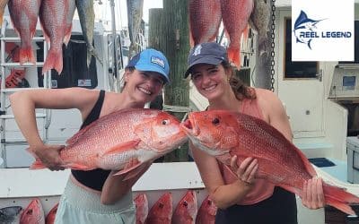 Fall Fishing in the Gulf: Best Time to Book with Reel Legend