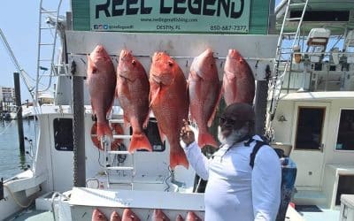 Spring Into Action: Why April is Prime Time for a Destin Fishing Charter