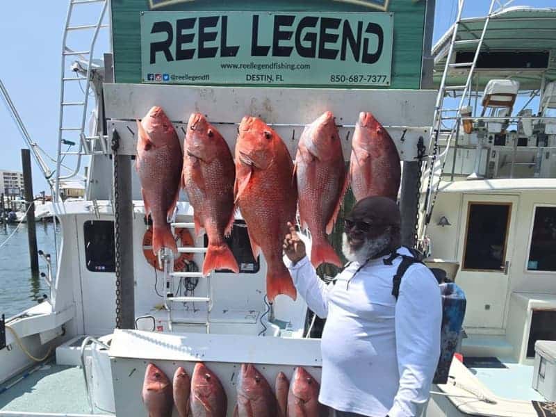 Spring Into Action: Why April is Prime Time for a Destin Fishing Charter